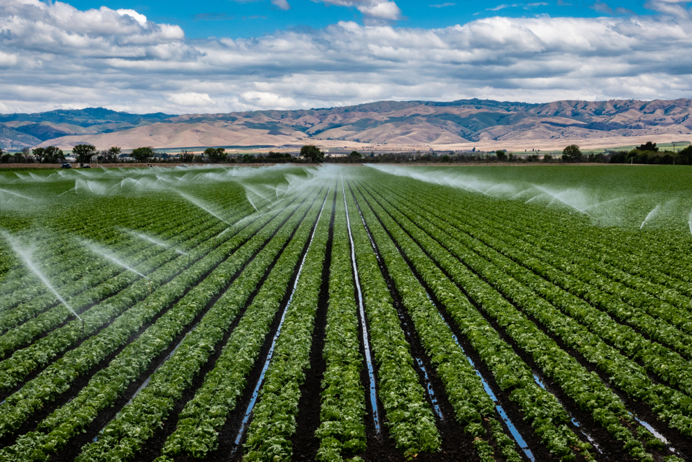 ery Profitable Irrigation Supply With Real Estate - SBA Approved